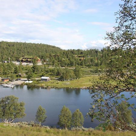 Lemonsjo Fjellstue Og Hyttegrend Randsverk Dış mekan fotoğraf