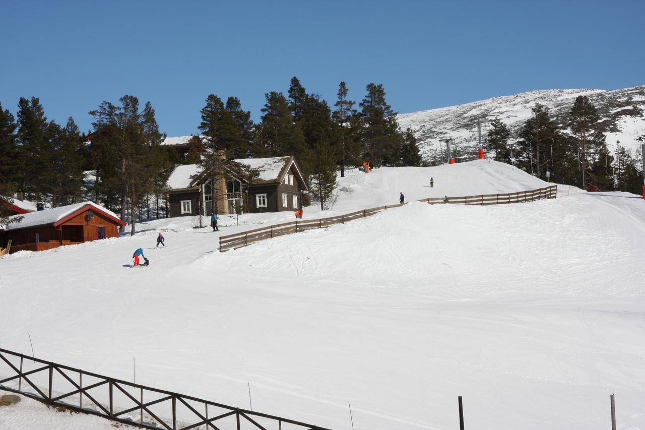 Lemonsjo Fjellstue Og Hyttegrend Randsverk Dış mekan fotoğraf