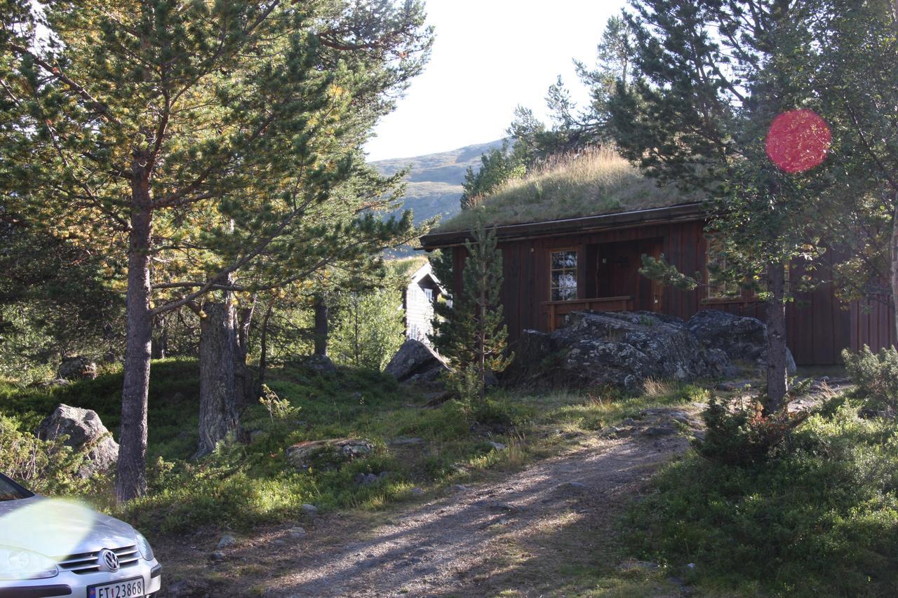 Lemonsjo Fjellstue Og Hyttegrend Randsverk Oda fotoğraf