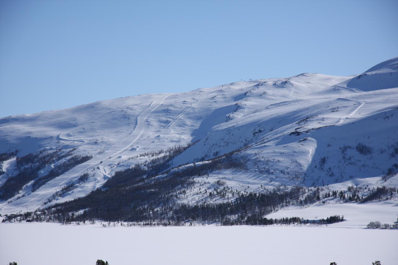 Lemonsjo Fjellstue Og Hyttegrend Randsverk Dış mekan fotoğraf