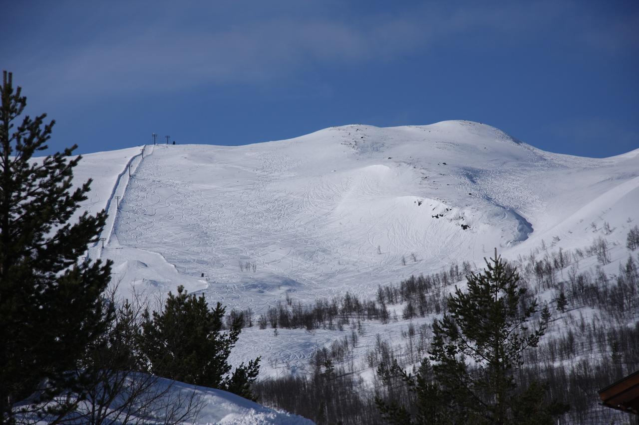 Lemonsjo Fjellstue Og Hyttegrend Randsverk Dış mekan fotoğraf