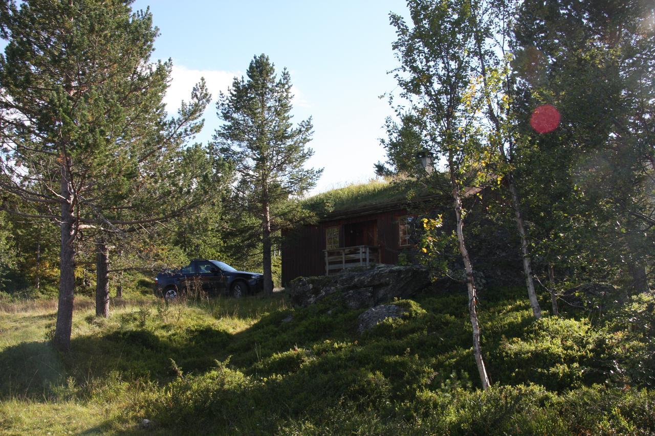 Lemonsjo Fjellstue Og Hyttegrend Randsverk Dış mekan fotoğraf