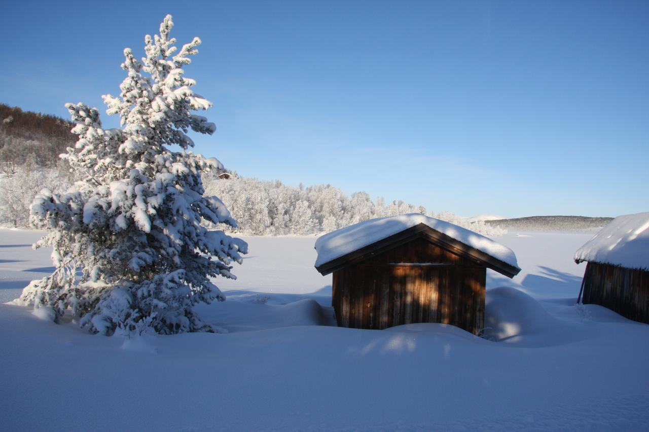 Lemonsjo Fjellstue Og Hyttegrend Randsverk Dış mekan fotoğraf