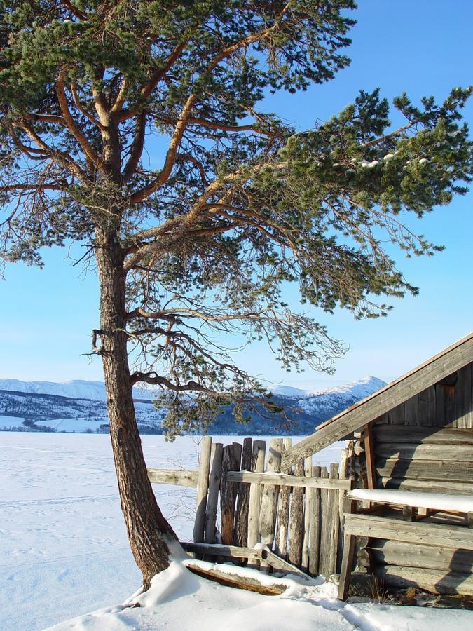 Lemonsjo Fjellstue Og Hyttegrend Randsverk Dış mekan fotoğraf